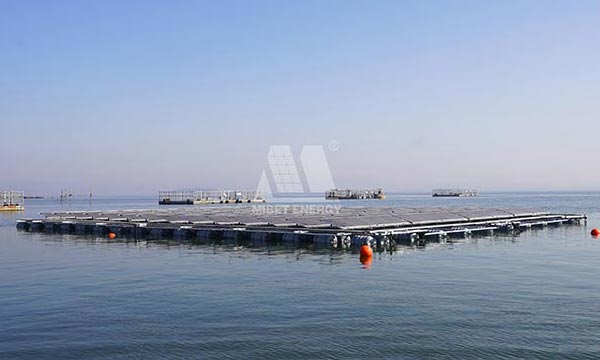 Hệ thống PV ngoài khơi Mibet được triển khai thành công gần bờ
        